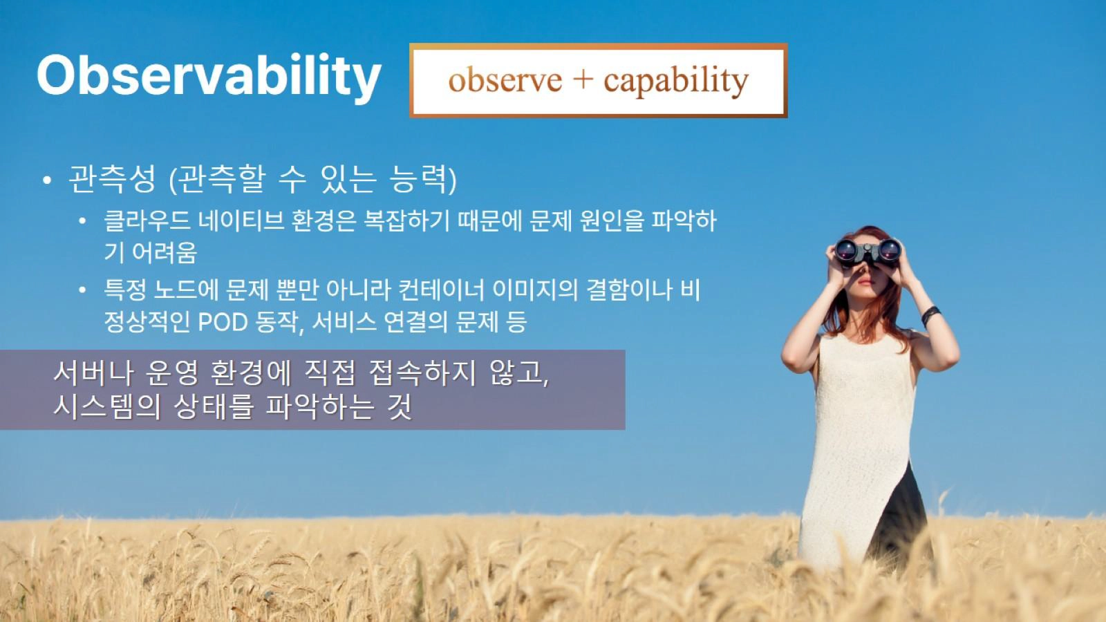 observability